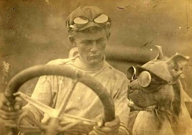 Boxer dog America 1903